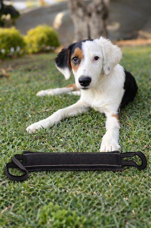 Zerrspielzeug für Hunde mit zwei Griffen