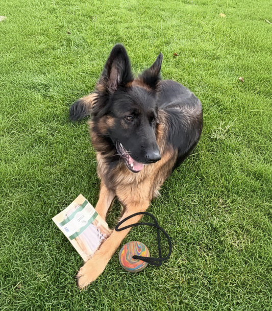 Gummi-Kauspielzeug Ball – 7 cm