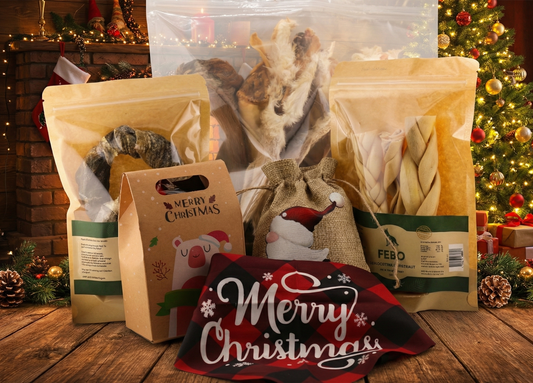 🎄 Weihnachts-Geschenkbox – Essentials Edition | Natürliche Kauartikel für Hunde 🎁