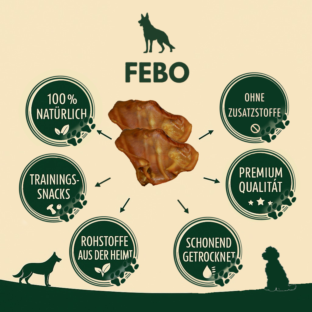 SCHWEINEOHREN