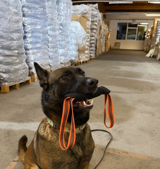 K9 Training & Natürliche Kauartikel – Febo Hundebedarf