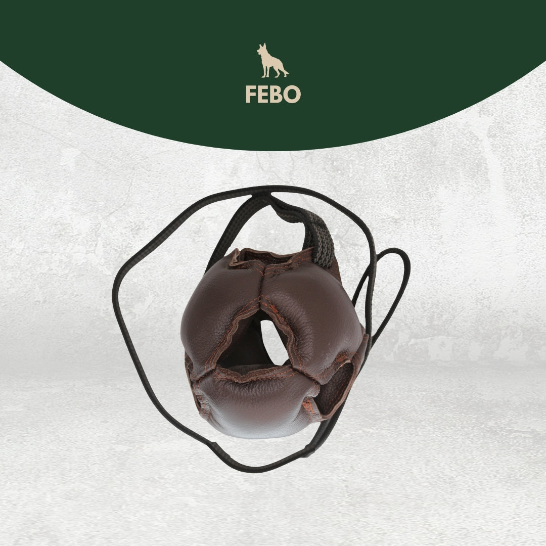 Trainingsball für Hunde leder