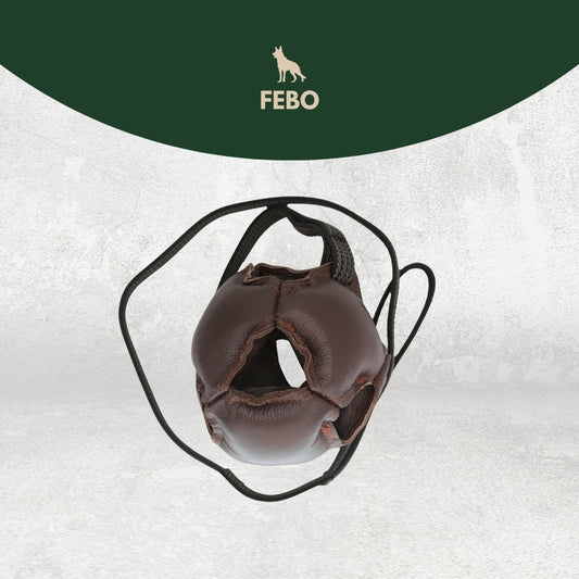 Trainingsball für Hunde leder