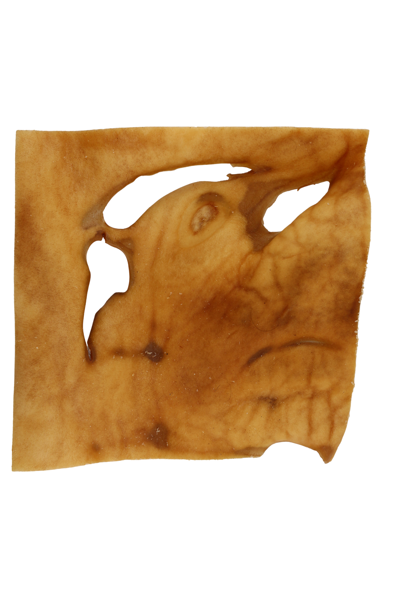 Getrocknete Rinderkopfhaut-Platte