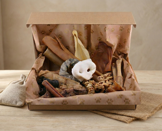 Kaubox für mittel und große Hunde