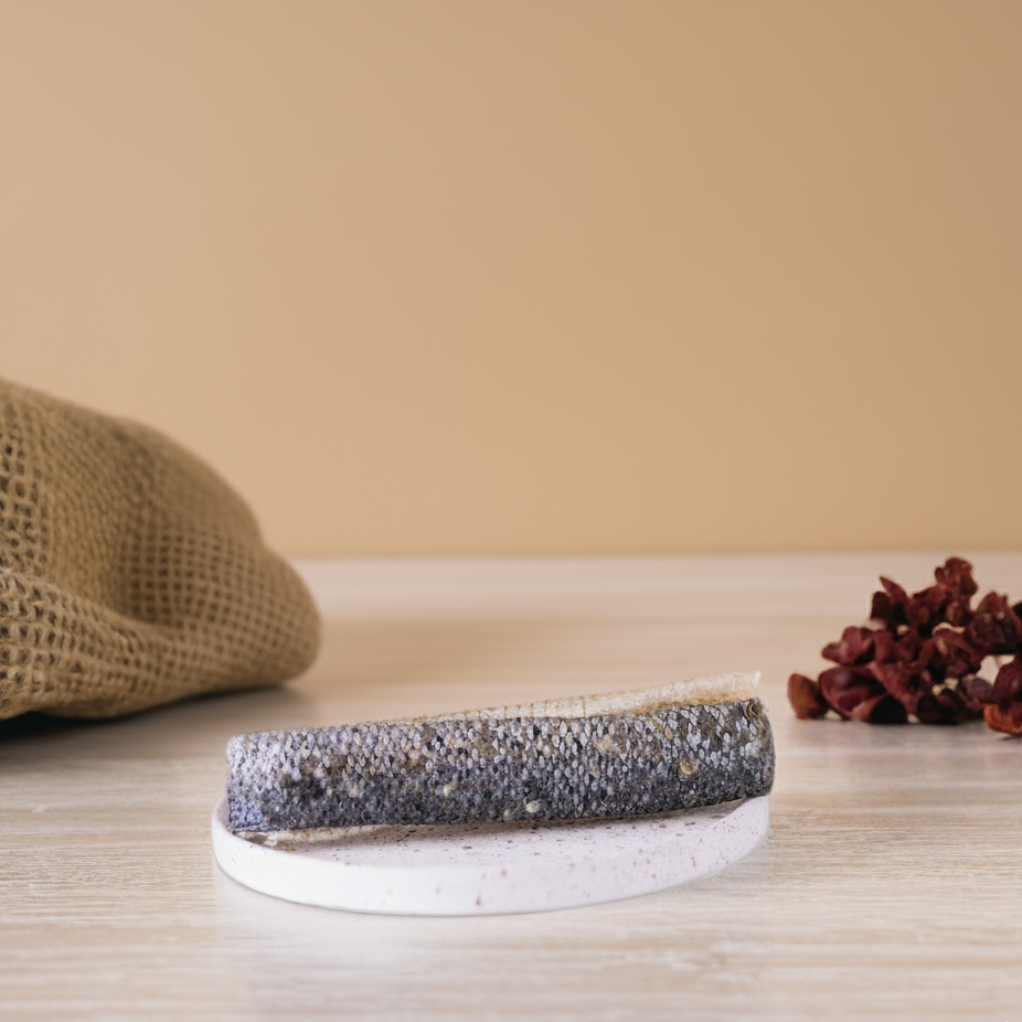 Getrocknete Lachshaut