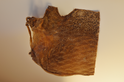 Getrocknete Ziegenpansenplatte