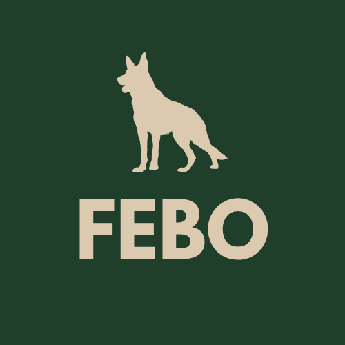 Natürliche Kausnacks & Mehr – FEBO Pet