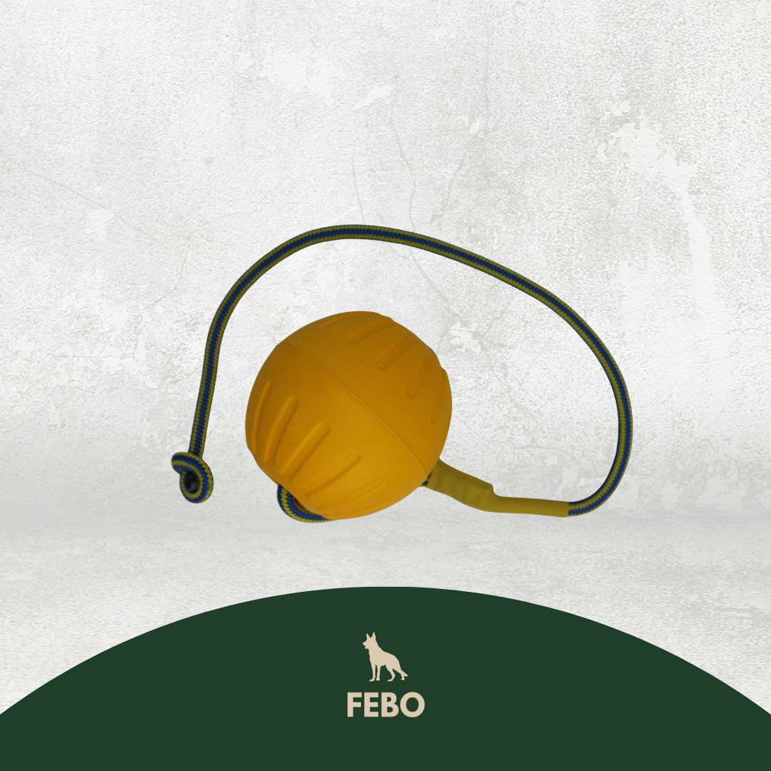 Trainingsball für Hunde – 9 cm