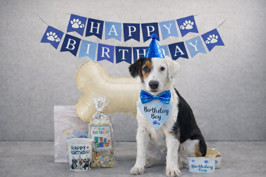 Geburtstagsset für Rüden – Classic Plus (14-teilig)