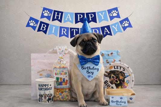 Geburtstagsset für Rüden – Classic (13-teilig)