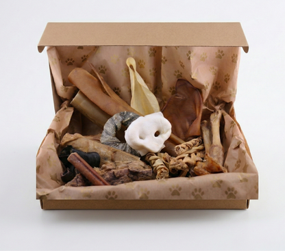 Kaubox für mittel und große Hunde