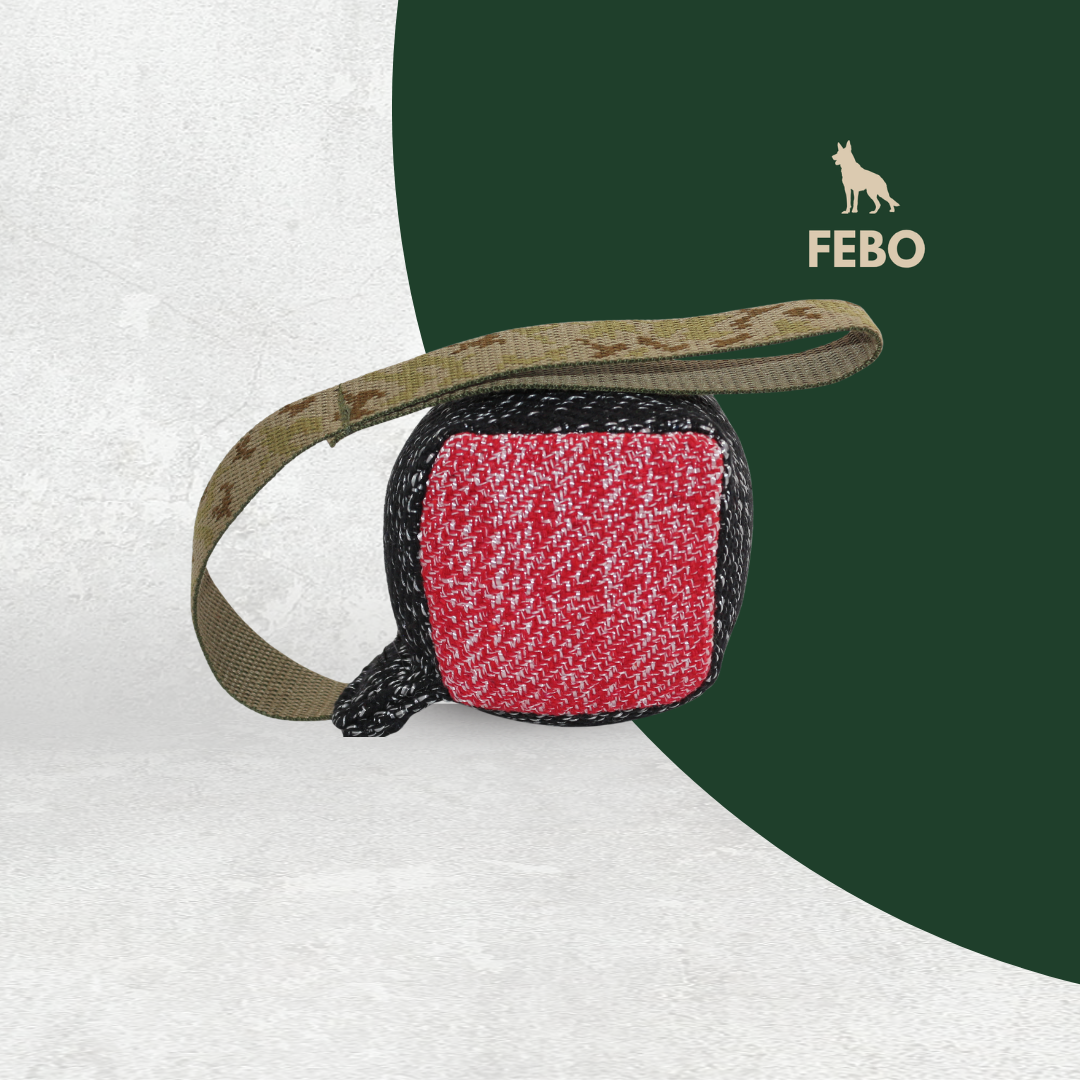 Trainingswürfel für Hunde – synthetisch