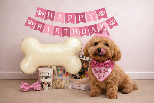 Geburtstagsset für Hundinnen – Classic Plus (14-teilig)