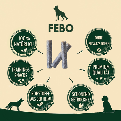 Getrocknete Lachshaut